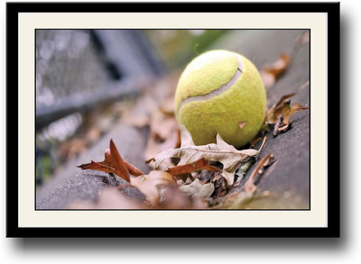 

Yellow tennis ball on road Fine Art Print(10 inch X 14 inch, Framed)