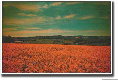 

Posterhouzz Vintage farm view Fine Art Print(12 inch X 18 inch, Rolled)