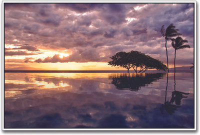 

Water Reflection Paper Print(12 inch X 18 inch)