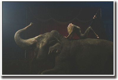 

Girl on Elephant Fine Art Print(12 inch X 18 inch, Rolled)