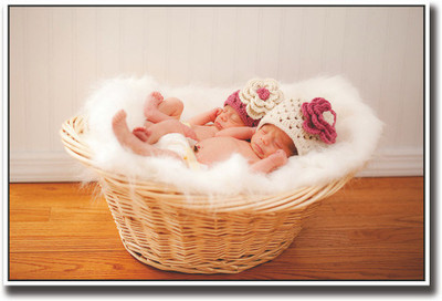 

Twin cute baby in basket Fine Art Print(12 inch X 18 inch, Rolled)
