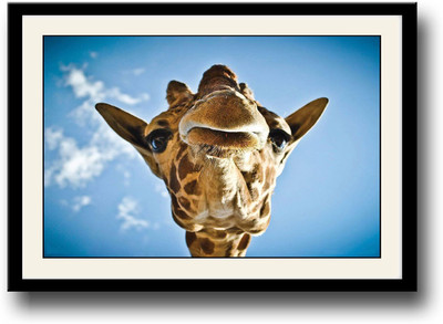 

Giraffe face Fine Art Print(10 inch X 14 inch, Framed)