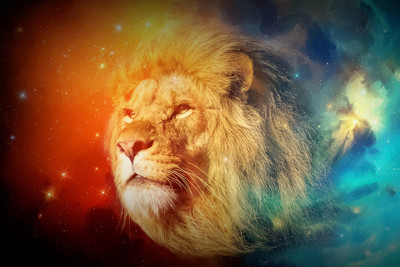 

Oshi - Lion Galaxy Paper Print(12 inch X 18 inch, Streched)