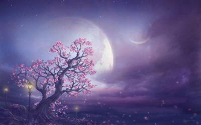 

Moon Behind Tree Poster Paper Print(12 inch X 18 inch, Rolled)