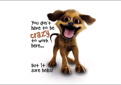 

Posterhouzz Crazy To Work Paper Print(12 inch X 18 inch, Rolled)