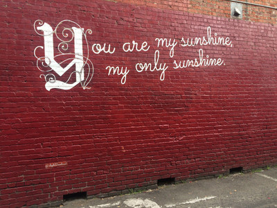 

Oshi - You are my sunshine Paper Print(12 inch X 18 inch, Stretched)