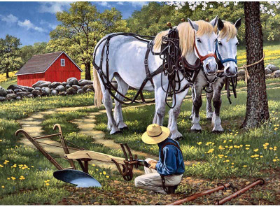 

Horse Hitching Rail - Medium Size Ready To Frame Rolled Digital Art Print On Photographic Paper(24 inch X 18 inch, Rolled)