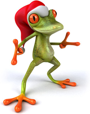 

Tallenge - Christmas Art - Funny Frog In Santa Cap - Xlarge Size Unframed Rolled Digital Art Print On Photographic Paper(30 inch X 30 inch, Rolled)