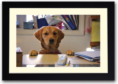 

Dog looking over table Fine Art Print(14 inch X 20 inch, Framed)