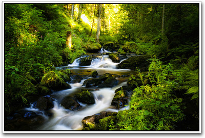 

Water Flowing Scenery Paper Print(12 inch X 18 inch)