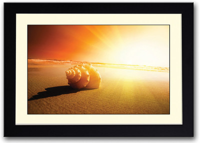 

Shell On Sand Fine Art Print(14 inch X 20 inch, Framed)