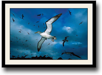 

White Seagull in sky Fine Art Print(10 inch X 14 inch, Framed)