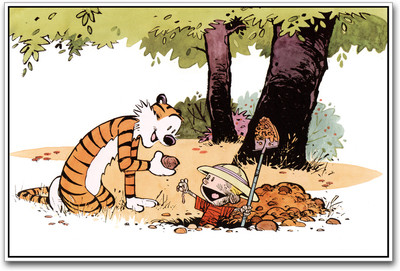 

Calvin And Hobbes Photographic Paper(12 inch X 18 inch)
