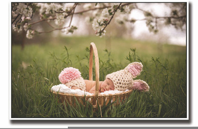

Posterhouzz Cute baby in bucket in Garden Fine Art Print(12 inch X 18 inch, Rolled)