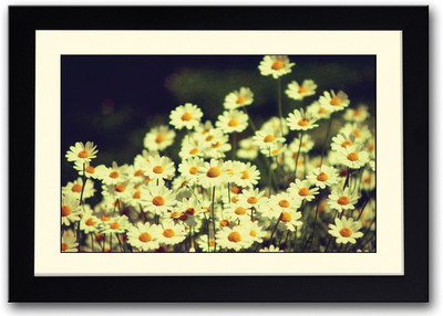 

Beautiful White Sunflowers Fine Art Print(14 inch X 20 inch, Framed)