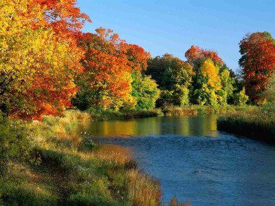 

Posterhouzz Autumn Fine Art Print Poster Fine Art Print(12 inch X 18 inch, Rolled)