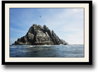 

Seagulls over the Island Fine Art Print(10 inch X 14 inch, Framed)