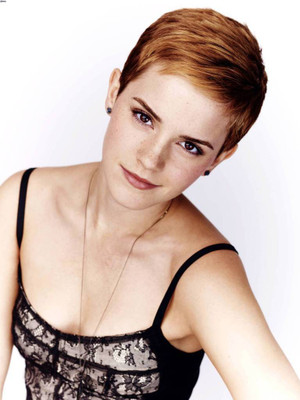 

Emma Watson Photographic Paper(18 inch X 12 inch, Rolled)