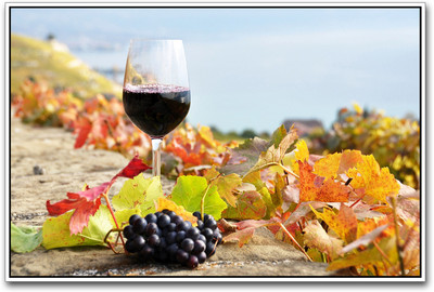 

Wine and Grapes Paper Print(12 inch X 18 inch)