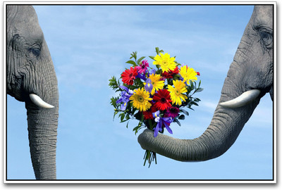 

Elephant love Paper Print(12 inch X 18 inch)