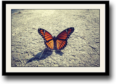

Beautiful butterfly on road Fine Art Print(10 inch X 14 inch, Framed)