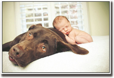 

Cute baby sleeping on dog Fine Art Print(12 inch X 18 inch, Rolled)