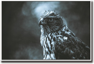 

Eagle amazing Fine Art Print(12 inch X 18 inch, Rolled)