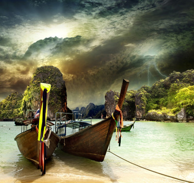 Nature Canvas Art(24 inch X 24 inch)