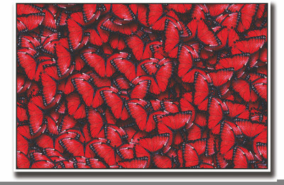 

Posterhouzz Red and Black Butterflies Fine Art Print(12 inch X 18 inch, Rolled)