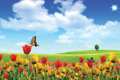 

Scenery Paper Print(12 inch X 18 inch, Rolled)