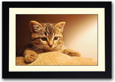 

Cute Cat AFP0478 Fine Art Print(14 inch X 20 inch, Framed)