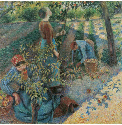 

Modern Masters Collection - Apple Picking by Camille Pissarro - Medium Size Ready To Frame Rolled Digital Art Print On Photographic Paper(18 inch X 18 inch, Rolled)