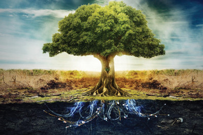 

TMS TREE BOUND TO THE POWER Paper Print(12 inch X 18 inch, Rolled)