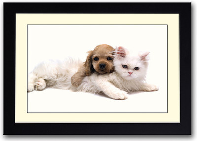 

Cute cat and dog Fine Art Print(14 inch X 20 inch, Framed)