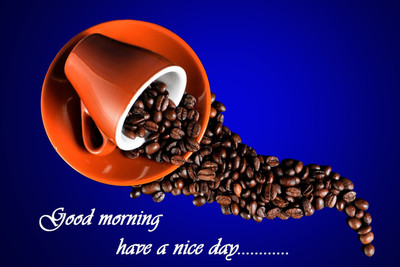 

Oshi - Good Morning Quote Paper Print(12 inch X 18 inch, Rolled)