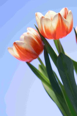 

Posterhouzz Flower Fine Art Print Poster Fine Art Print(18 inch X 12 inch, Rolled)