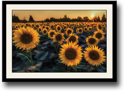 

Sunflowers Fine Art Print(10 inch X 14 inch, Framed)
