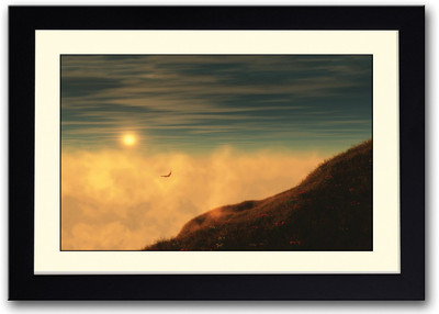 

Eagle In Sky Fine Art Print(14 inch X 20 inch, Framed)