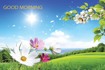 

TMS GOOD DAY Paper Print(12 inch X 18 inch, Rolled)