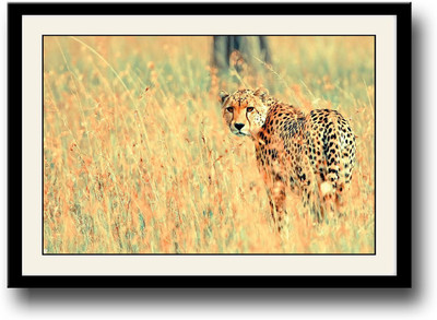 

Leopard Fine Art Print(10 inch X 14 inch, Framed)