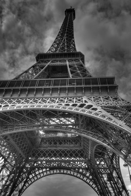 

Eiffel Tower Paper Print(18 inch X 12 inch)