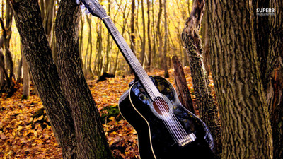 

Akhuratha Music Guitar Wall Poster Fine Art Print(12 inch X 18 inch, Rolled)