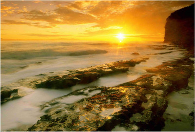 

Nature Paper Print(19 inch X 13 inch, Rolled)