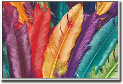 

Colored Feathers Fine Art Print(12 inch X 18 inch, Rolled)