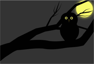 

Night Owl Wallpaper Paper Print(13 inch X 19 inch, Rolled)
