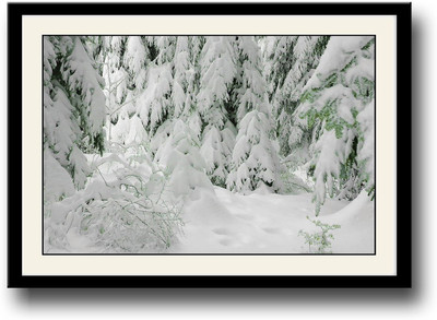

Heavy Snowfall in Forest Fine Art Print(10 inch X 14 inch, Framed)