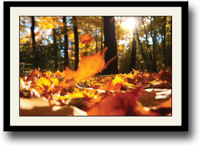 

Autumn Leaves AFP0359 Fine Art Print(10 inch X 14 inch, Framed)