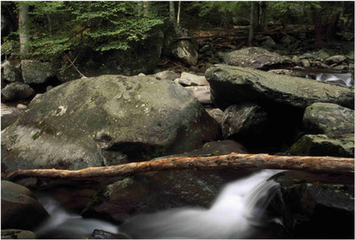 

Nature Paper Print(19 inch X 13 inch, Rolled)