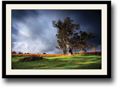 

Wind blowing through trees Fine Art Print(10 inch X 14 inch, Framed)