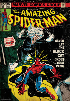 

Spider-man Fly poster (Officially Licensed) Paper Print(36 inch X 24 inch, Rolled)